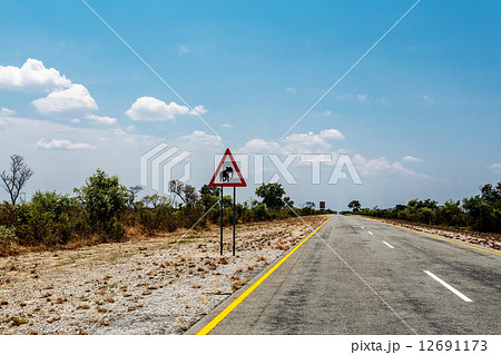 Endless road with blue sky and sign elephants crossing Endless road with blue sky and sign elephants crossing 12691173