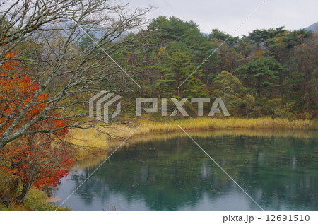 五色沼 五色沼 12691510