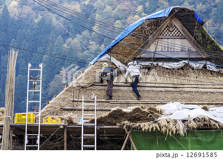 茅葺き屋根の葺き替え　茅葺き屋根　作業する人　修復作業　イメージ素材 12691585