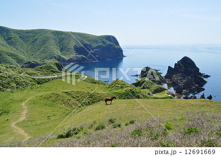 隠岐島前 12691669