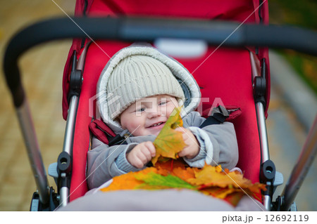 9 months boy in stroller playing with leaves 9 months boy in stroller playing with leaves 12692119