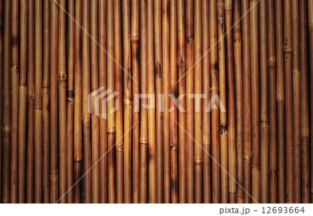 bamboo texture bamboo texture 12693664