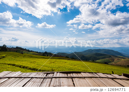 Terraced rice fields in northern Thailand ,Pa pong peang, Chiang 12694771