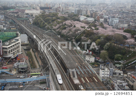 飛鳥山の桜と東北新幹線E4系（旧塗装） 12694851