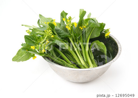 アスパラ菜 12695049