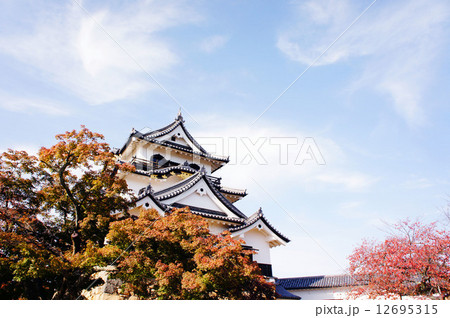 彦根城3 彦根城3 12695315