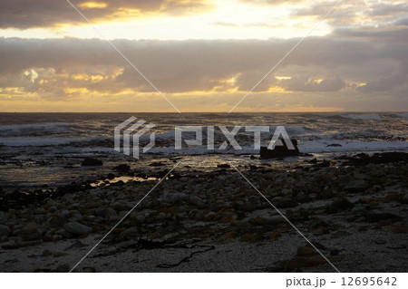 南アフリカ喜望峰の夕日の海 12695642