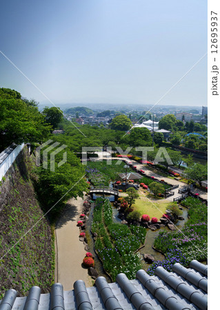 花菖蒲＠長崎県大村公園 12695937