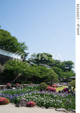 花菖蒲＠長崎県大村公園 12695938