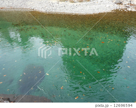 清流7 12696594