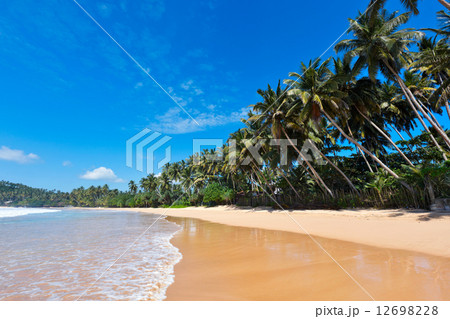 Idyllic beach. Sri Lanka 12698228