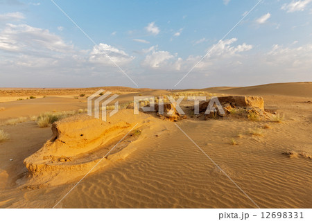 Dunes of Thar Desert, Rajasthan, India 12698331
