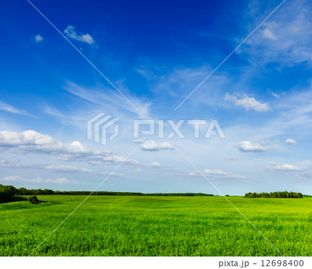 Spring summer green field scenery lanscape 12698400
