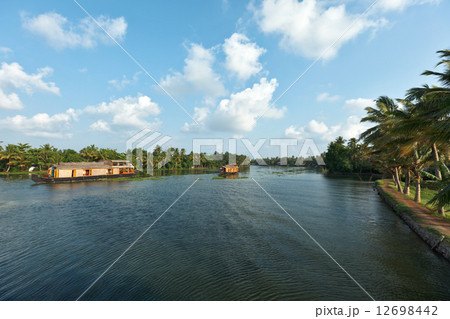 Houseboats on Kerala backwaters. Kerala, India 12698442