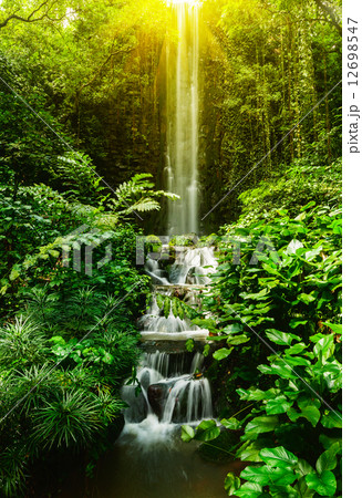Tropical waterfall Tropical waterfall 12698547
