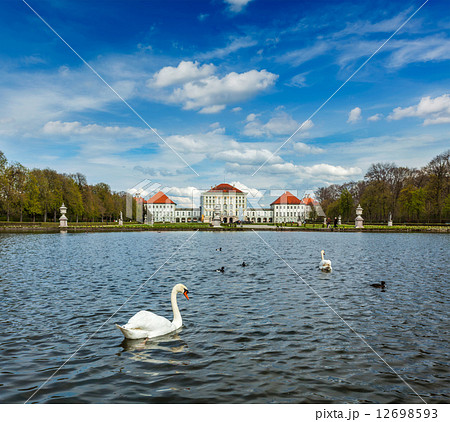 Swan and Nymphenburg Palace. Munich, Bavaria, Germany Swan and Nymphenburg Palace. Munich, Bavaria, Germany 12698593