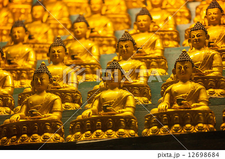 Buddha Sakyamuni statues 12698684