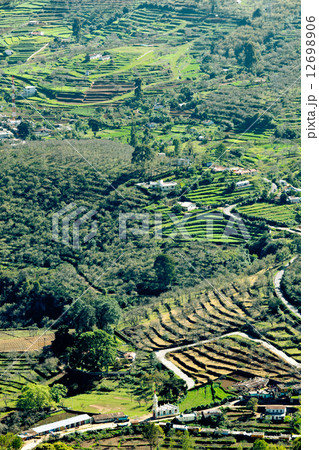 Terraced fields Terraced fields 12698906