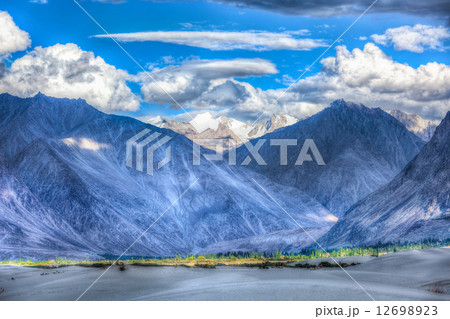 Sand dunes. Nubra valley, Ladakh, India 12698923