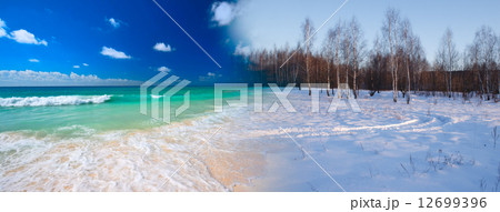 Summer transforming to winter 12699396