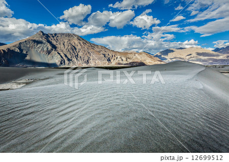 Sand dunes. Nubra valley, Ladakh, India 12699512
