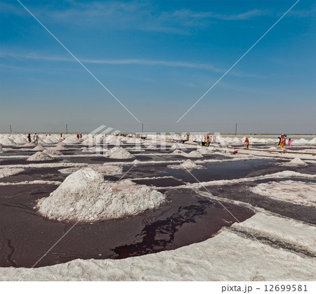 Salt mine at Sambhar Lake, Sambhar, Rajasthan, India 12699581