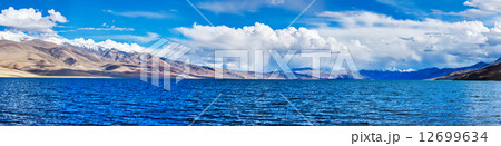 Panorama of lake Tso Moriri in Himalayas, Ladakh 12699634