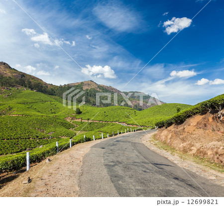 Green tea plantations in Munnar, Kerala, India Green tea plantations in Munnar, Kerala, India 12699821