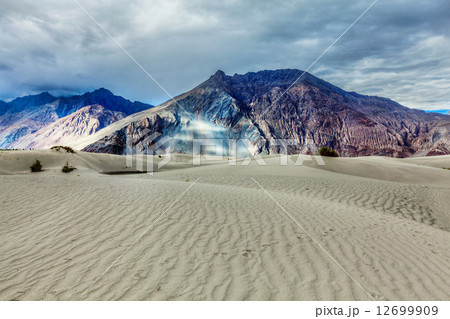 Sand dunes in Himalayas. Hunder, Nubra valley, Ladakh 12699909