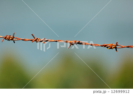 Steel barbed wire 12699912