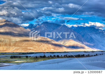 Sand dunes. Nubra valley, Ladakh, India 12699987