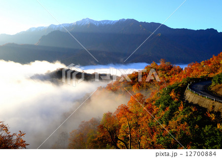 雲海の枝折峠 雲海の枝折峠 12700884