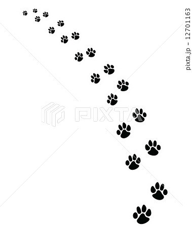 Footprints Of Dogsのイラスト素材