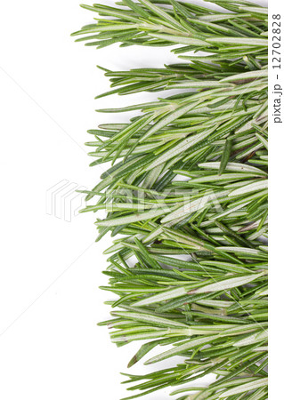 Rosemary herbal frame. 12702828