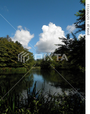 雲場池 12703511