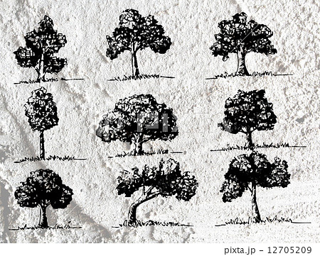 trees with leaves in silhouettes on wall texture background d trees with leaves in silhouettes on wall texture background d 12705209