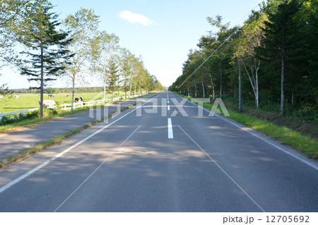 北海道の直線道路 12705692