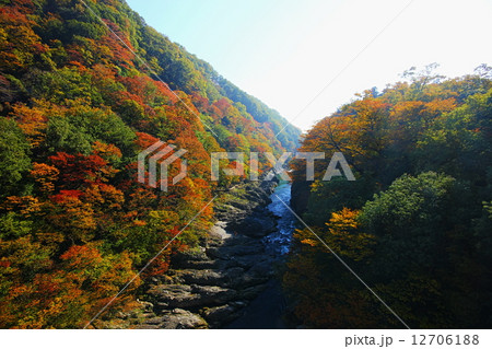 高津戸峡 12706188