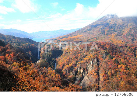 秋の日光明智平 12706606