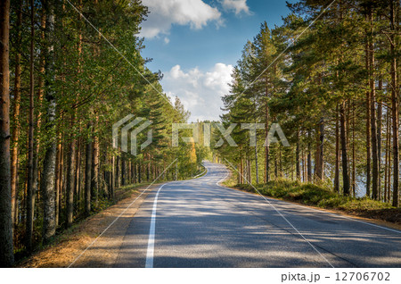 Road through northern forest Road through northern forest 12706702