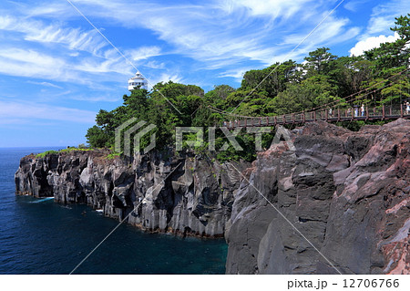 伊豆 城ヶ崎海岸 伊豆 城ヶ崎海岸 12706766