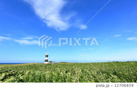 能取岬灯台 12706839