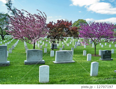 Arlington National Cemetery Spring 2010 Arlington National Cemetery Spring 2010 12707197