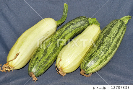 Fresh vegetable marrows Fresh vegetable marrows 12707333