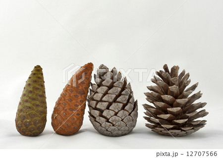 Cones set Cones set 12707566