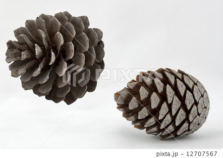 Pine cones Pine cones 12707567