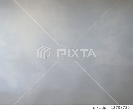 ソフトイメージ 12708789