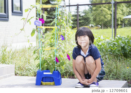 アサガオの教材と小学生 12709601