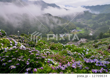 あいさいの里３（愛媛県新宮） 12709634