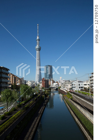 北十間川と東京スカイツリー　 12709750